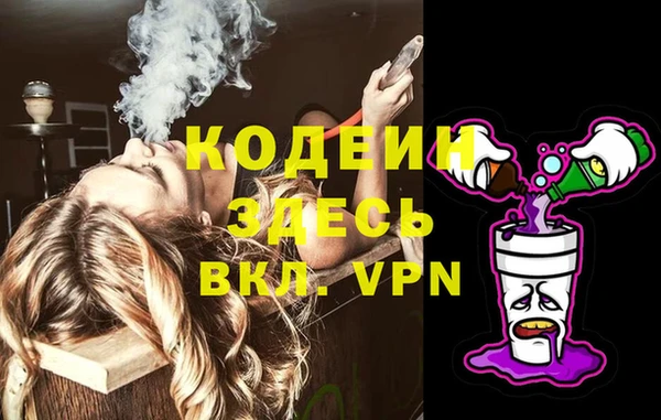 гашик Осинники
