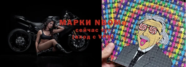 гашик Осинники