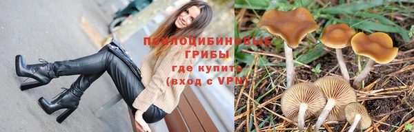 спайс Аркадак